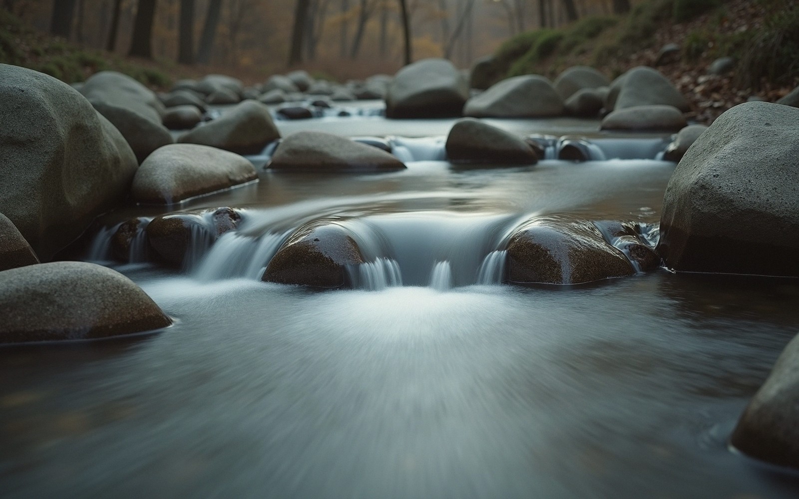 Water flows smoothly around smooth boulders in a forest stream