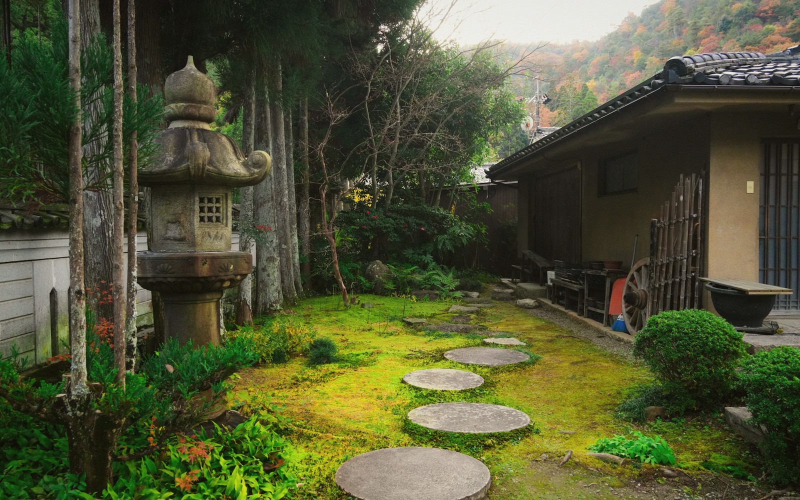 Stone lantern beside a mossy stepping-stone path leading to a traditional house
